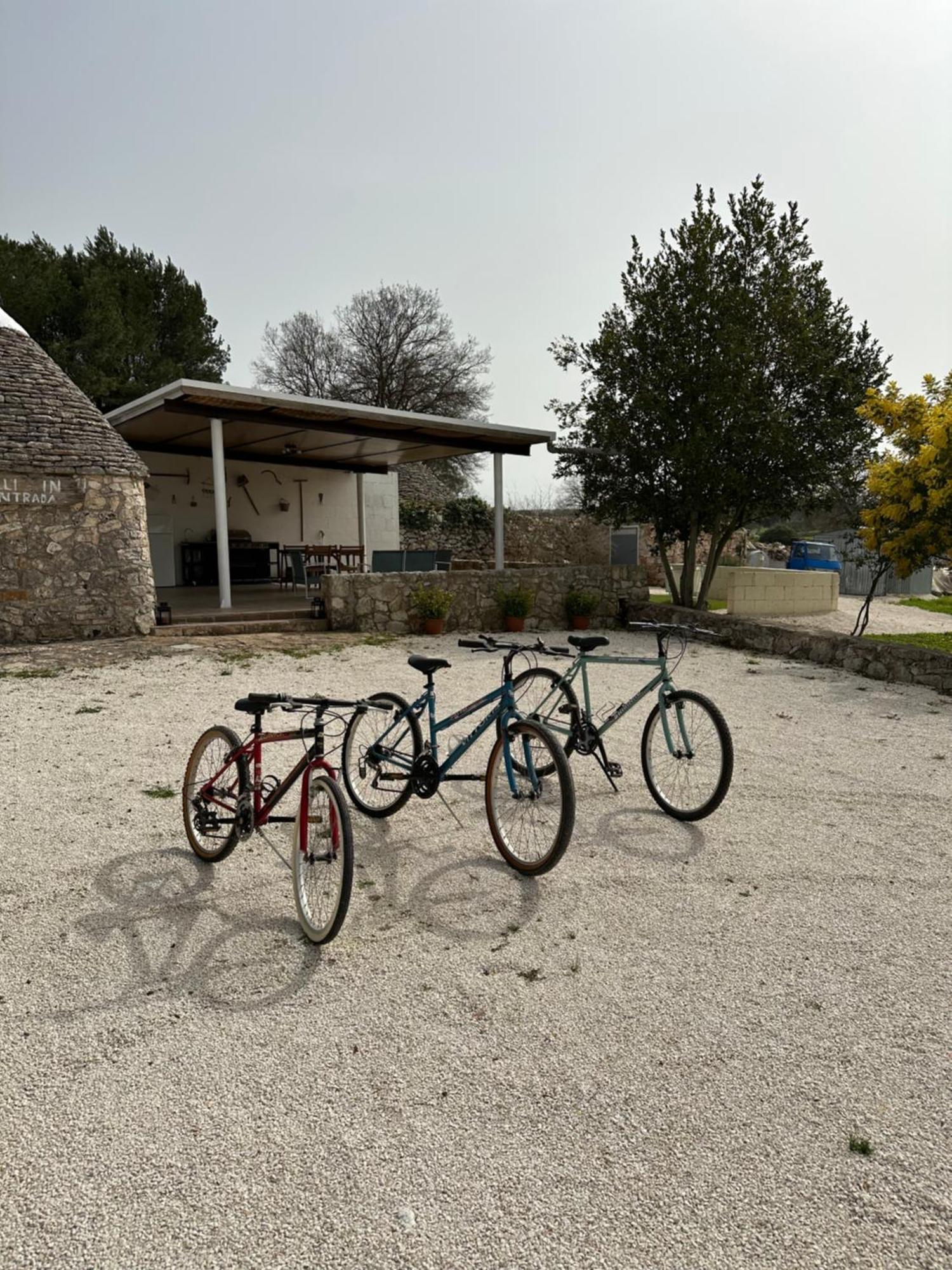 Trulli In Contrada Villa Noci Bagian luar foto